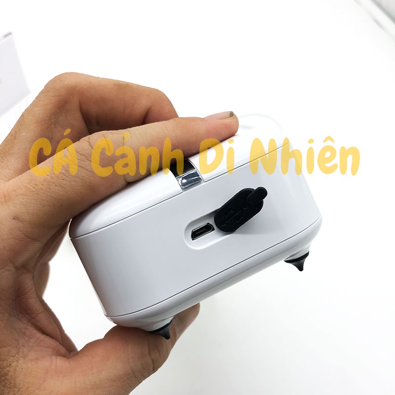 Máy Sủi Khí Oxy 2 Vòi Tích Điện SOBO SB-428 2W cho hồ cá kèm dây+đá sủi