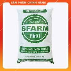Phân trùn quế nguyên chất Sfarm PB01 5kg