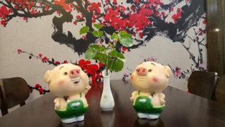 Heo đất cute