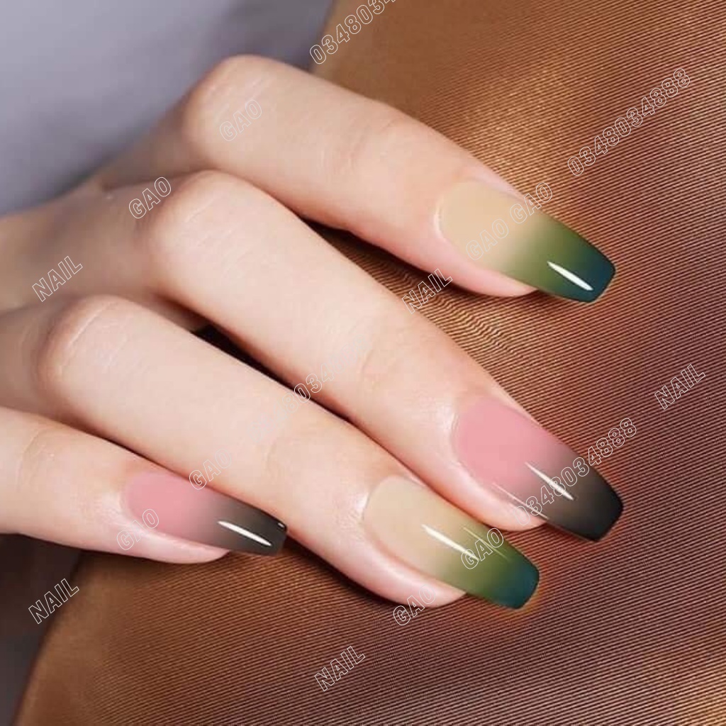 Cọ omber cán gỗ đầu tròn