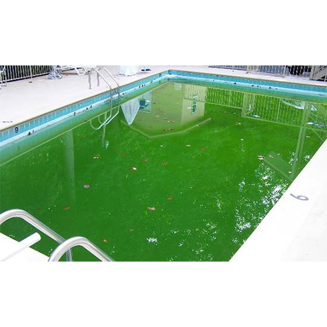 (Freeship) 2kg clo viên khử khuẩn hồ bơi,làm trong nước diệt rêu tảo vệ sinh nhà cửa