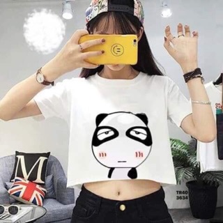 Áo croptop cô gái và gấu