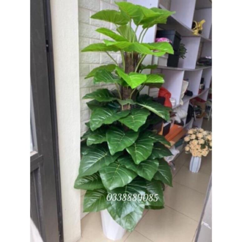 Cây trầu bà 1,6m 63 lá kèm chậu -cây giả
