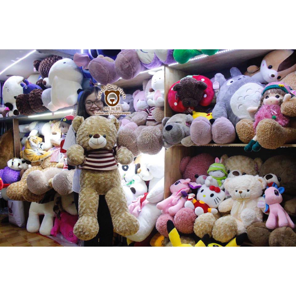 Teddy Việt Nam mặc áo len 80cm