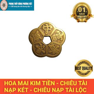 Combo 3 Đồng Hoa Mai Chiêu Tài