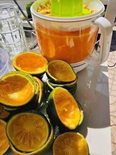 Máy vắt nước cam