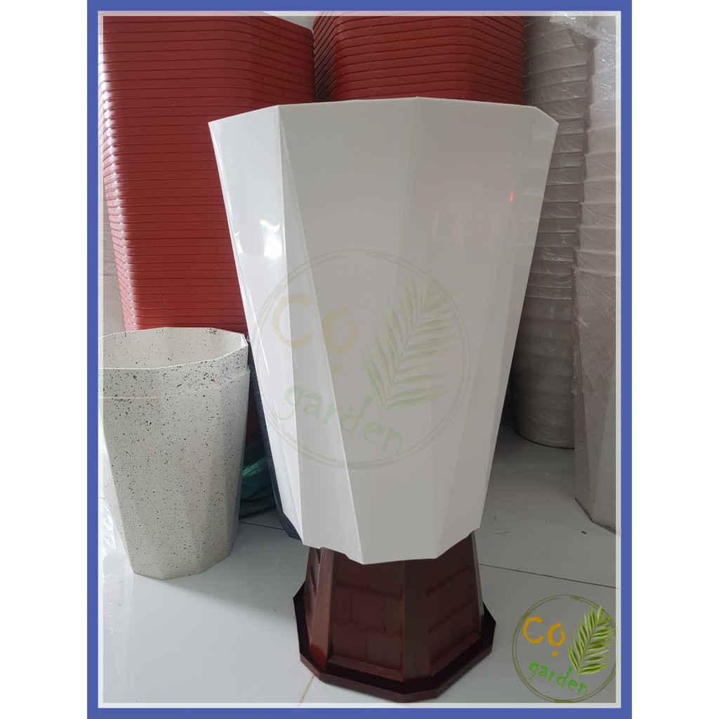 Chậu Nhựa Kim Cương Trắng 10 cạnh size Đại 44x35 - Cọ garden