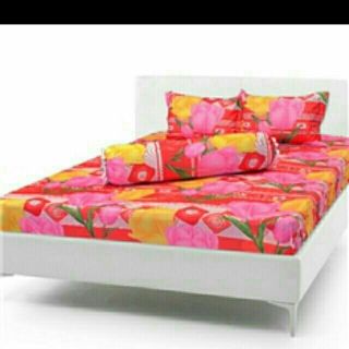 Bộ Ga Nệm Thun Lạnh Cao Cấp 1m6 x 2m cao 10cm