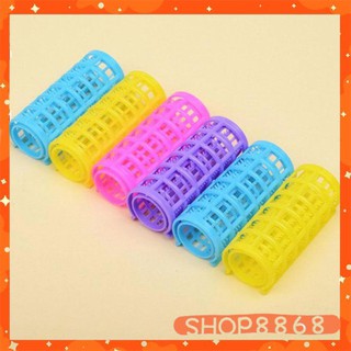 Combo 6 lô cuốn tóc gai - shop8868