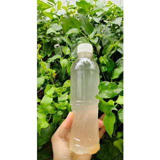 1 lít giấm nhà nuôi
