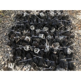 Dây cao su cột chân gà chiến kê