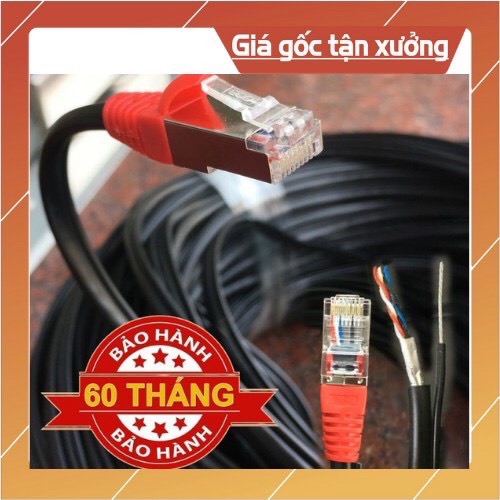 Dây Mạng Ngoài Trời Đã Bấm Sẵn 2 Đầu 30M 35M 40M 45M TEASUNG Có Cáp Chịu Lực Chât Lượng