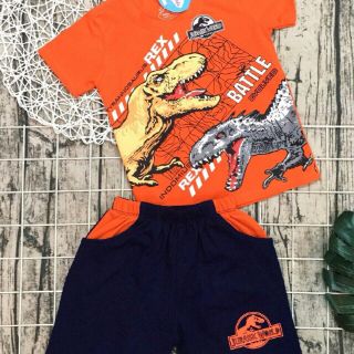 Bộ cotton khủng long bé trai
