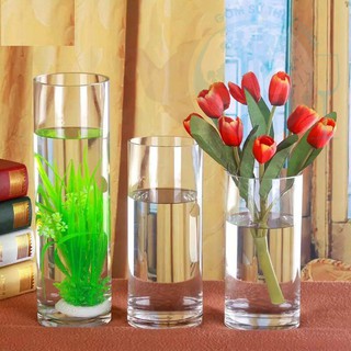Bình bông, bình thủy tinh cắm hoa ống trụ 12cm x 30cm