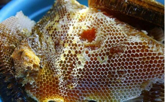 Mật ong rừng U Minh nguyên chất 100% 1Lit