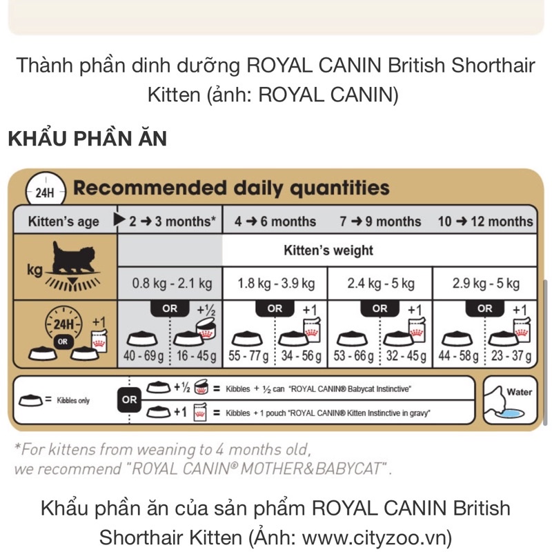 [2Kg] Thức ăn hạt cho mèo- Royal Canin British Shorthair Kitten- Hạt Canin cho Mèo Anh Lông Ngắn dưới 12 tháng