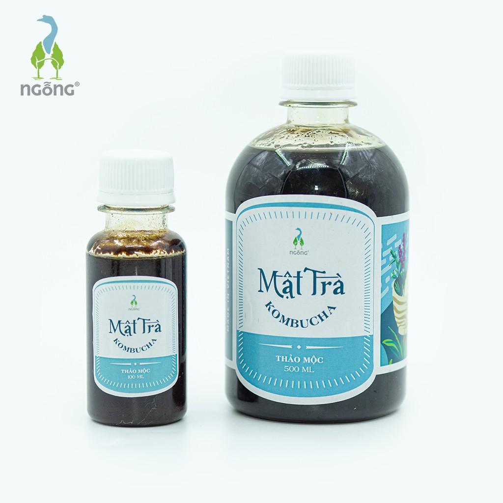 Mật trà Kombucha Thảo mộc detox và bổ sung lợi khuẩn