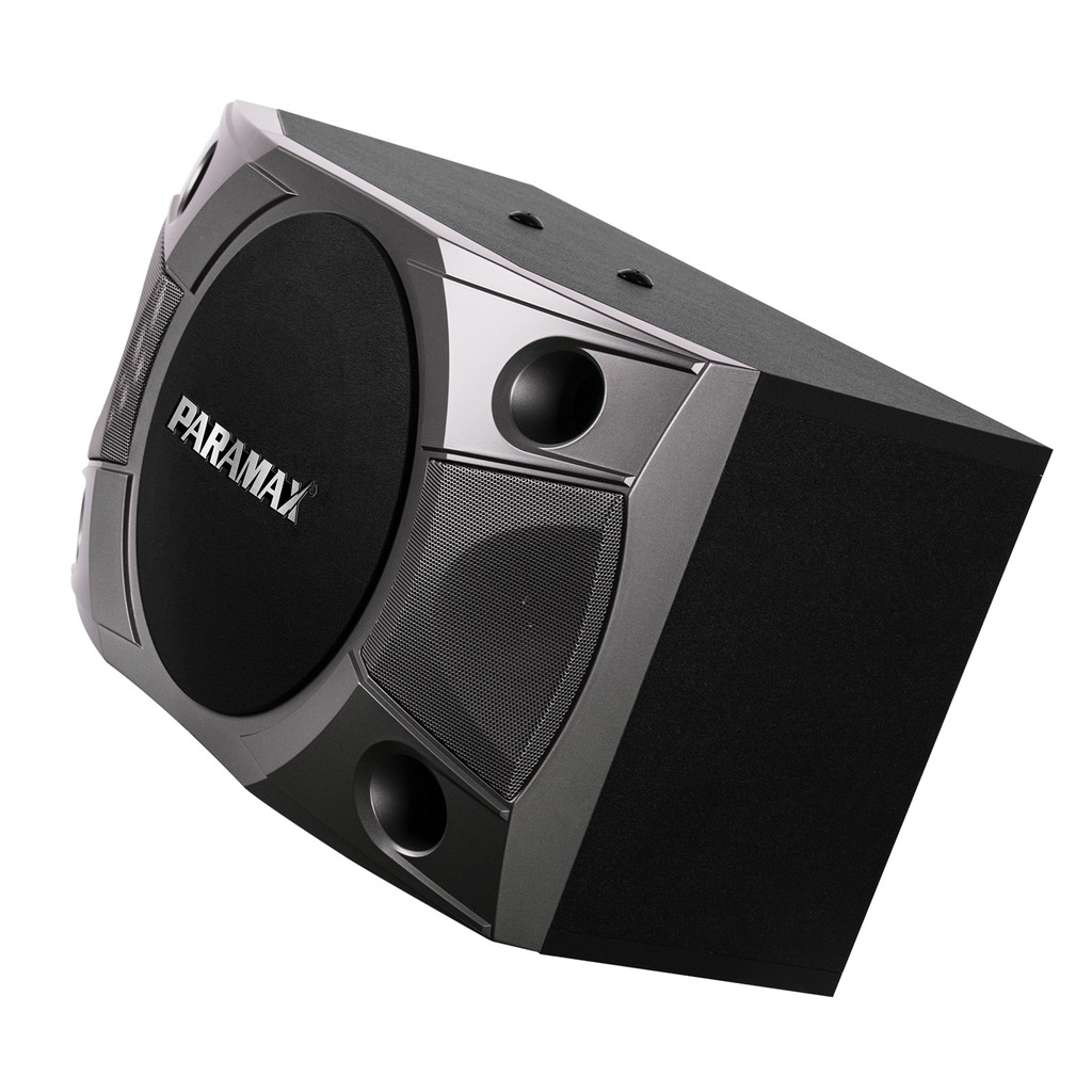 Loa Karaoke Paramax P800