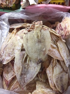 Combo 25 con mực như hình