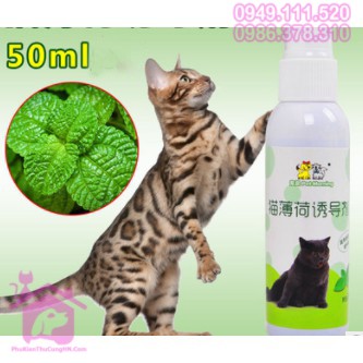 Catnip cho mèo chai xịt 50ml - Phụ kiện thú cưng Hà Nội