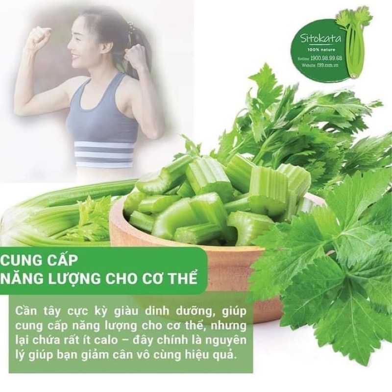 Chính Hãng Bột cần tây Sitokata Hộp 20 Gói (100gr) | BigBuy360 - bigbuy360.vn