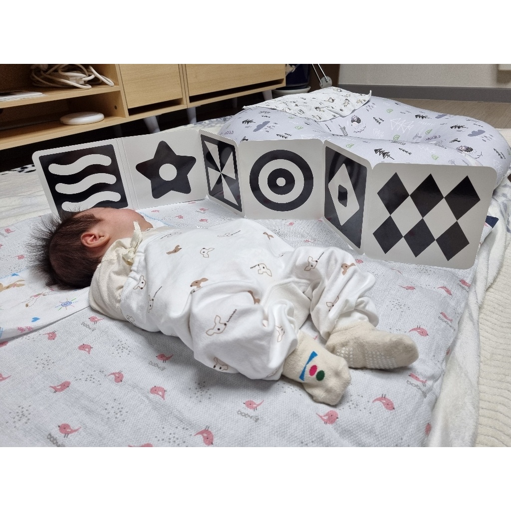 Set 2 cuốn sách phát triển trí não và thị giác cho trẻ sơ sinh Green Kids Hàn Quốc