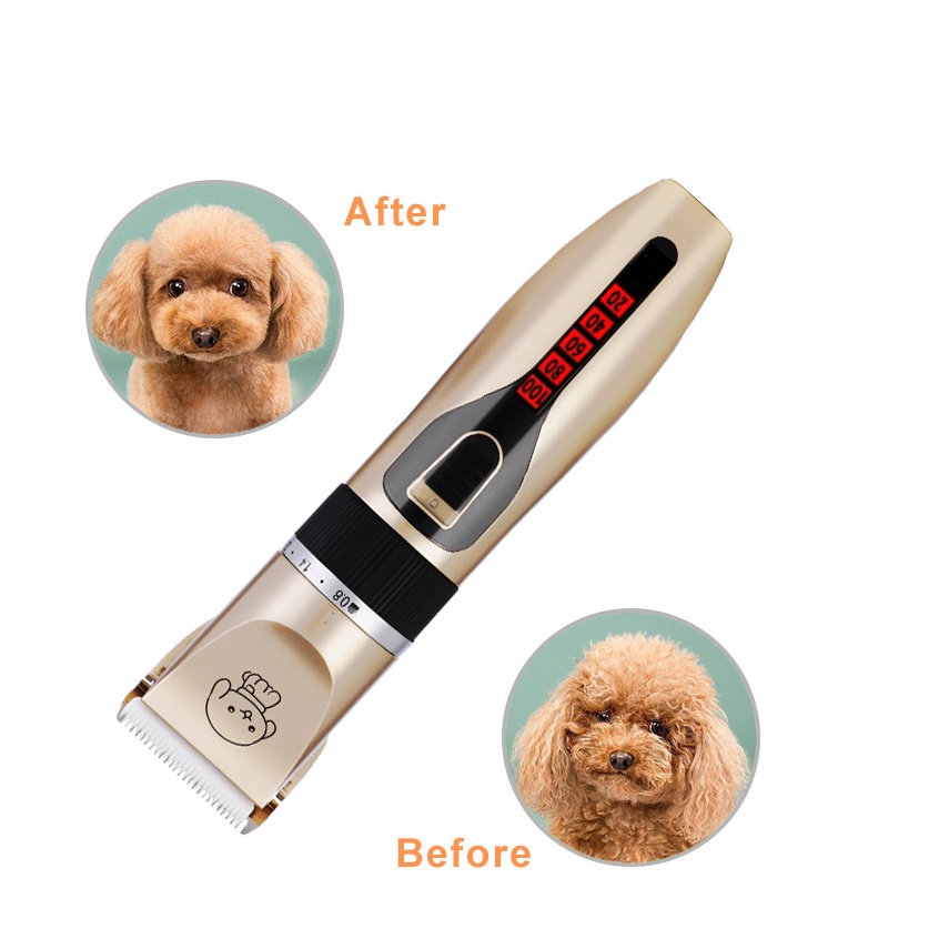 TÔNG ĐƠ CẮT TỈA LÔNG THÚ CƯNG PET GROOMING HAIR CLIPPER KIT