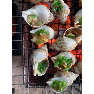 ỐC BULOT PHÁP - Ngon hơn ốc hương