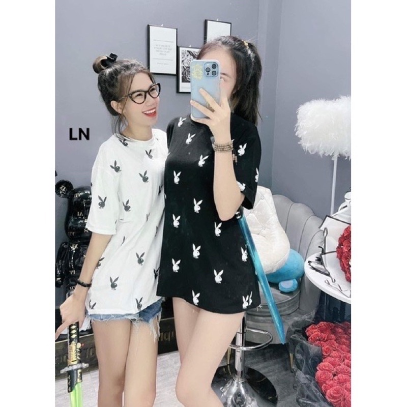 Áo thun nhiều thỏ DA8