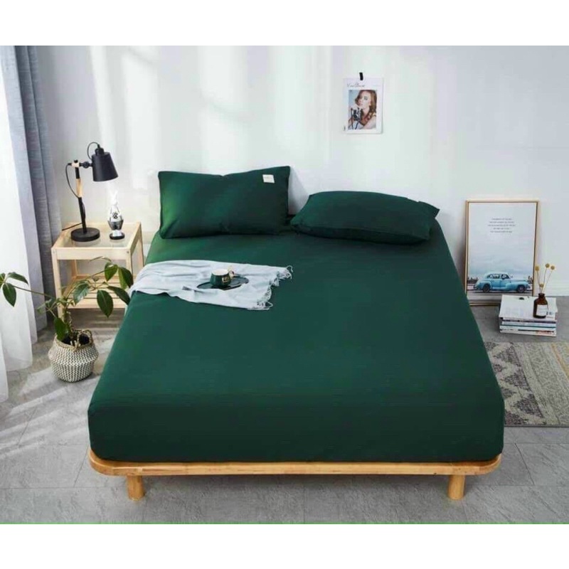 Bộ ga gối cotton tici cao cấp 1ga 2 vo goi(miễn phí bo chun)- Kanta store