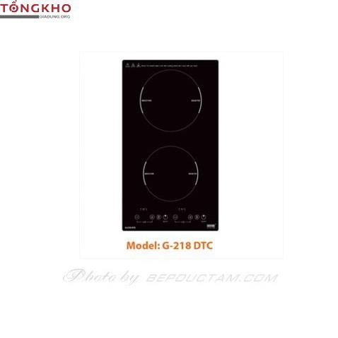 Bếp từ Giovani G-218 DTC