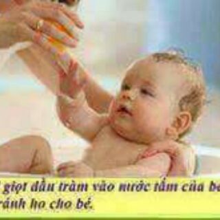 DẦU TRÀM THIÊN AN
