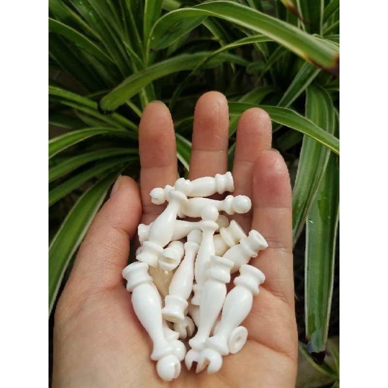 Một đôi đầu cầu xương thẳng dành cho lồng khuyên