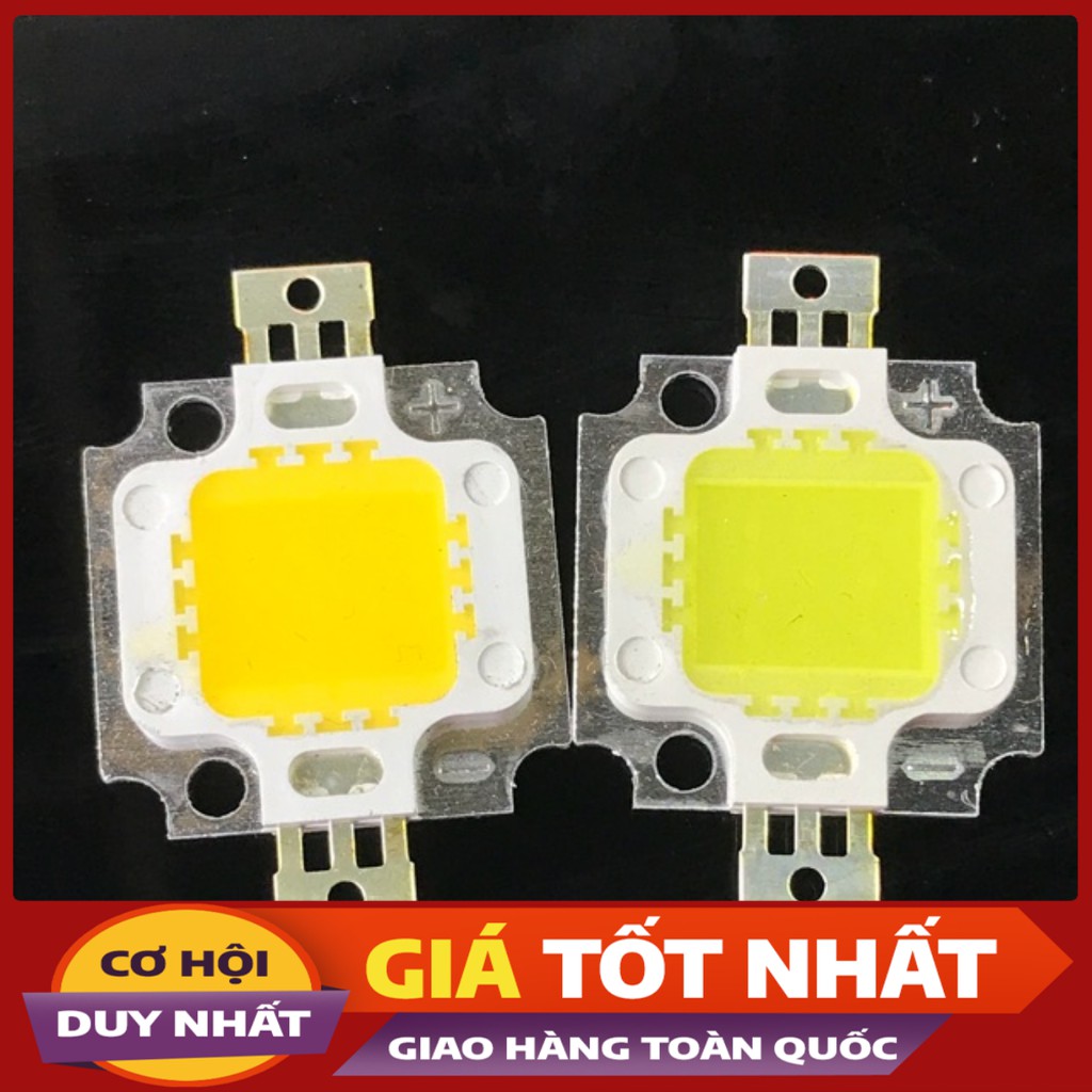 2c Chip Led 10w-12v