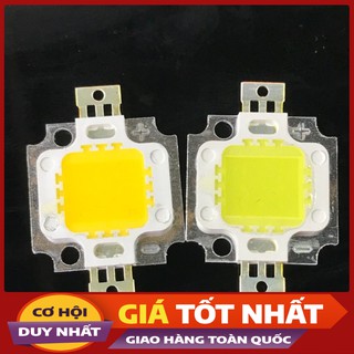 2c Chip Led 10w-12v