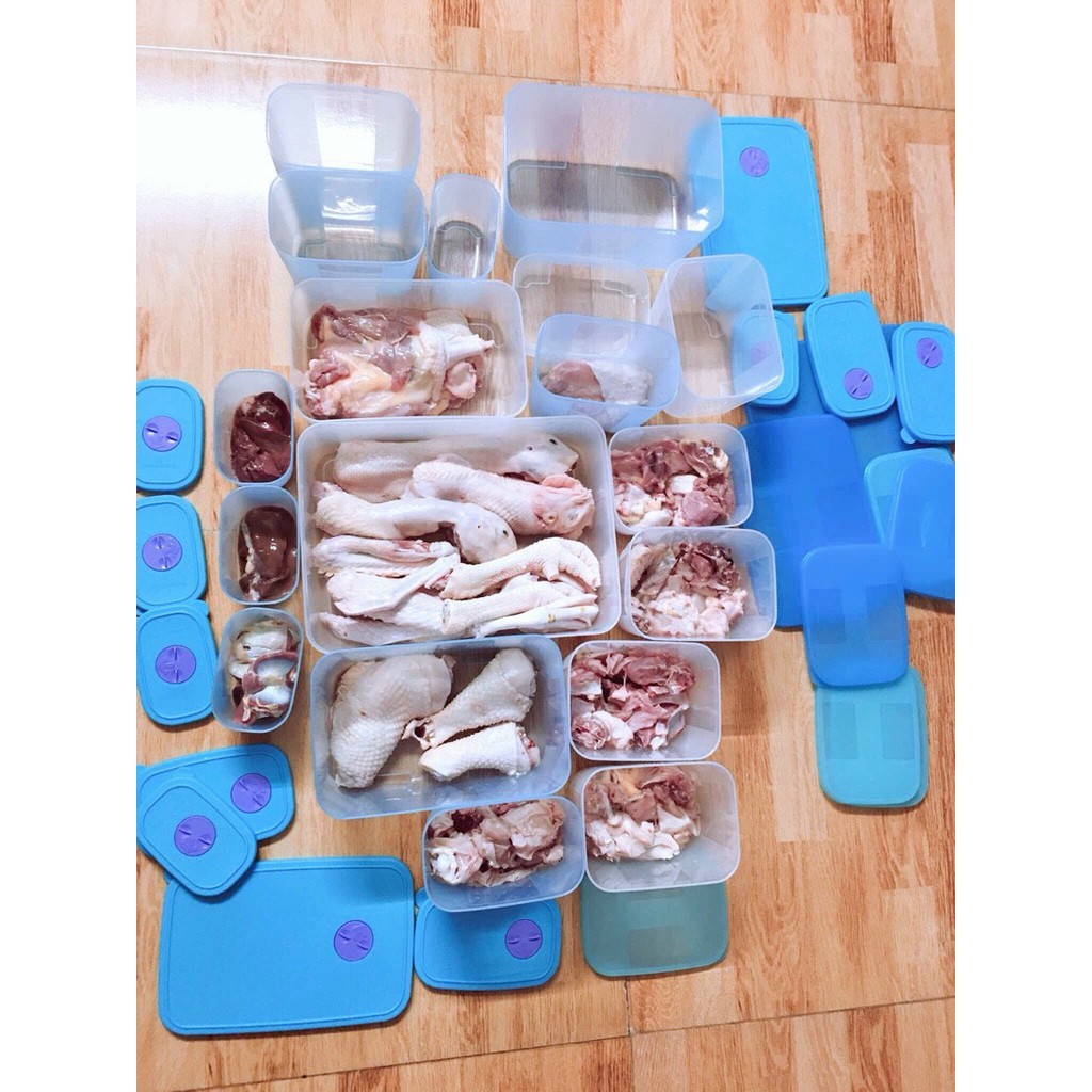 Set trữ đông tupperware <3 Hộp trữ đông <3 Hộp ngăn đông tup Gen I 650ml