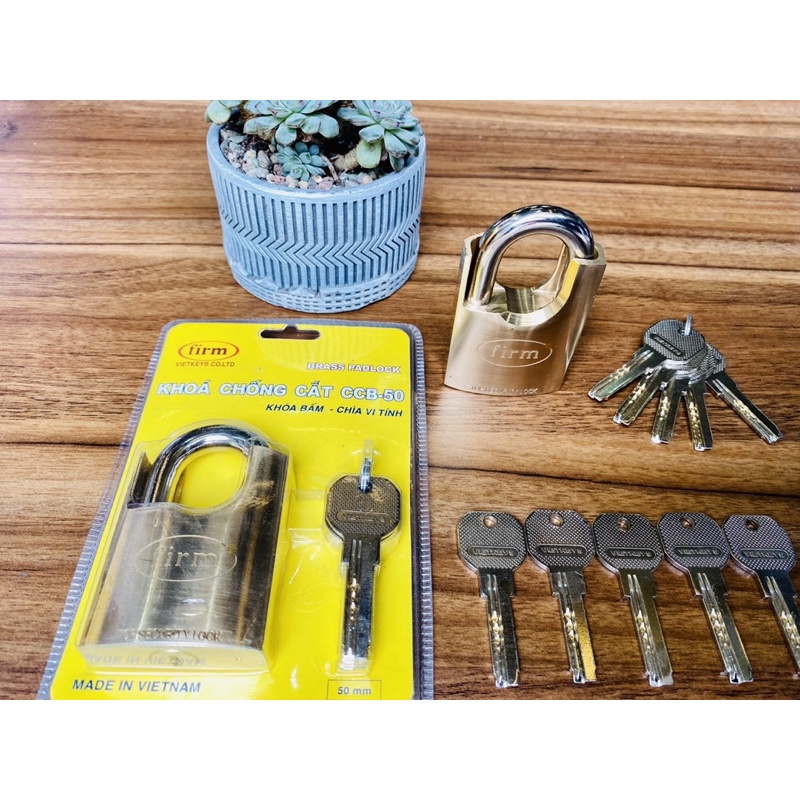 Khoá chống cắt 15 chìa vi tính, khoá móc bấm nhiều chìa firm