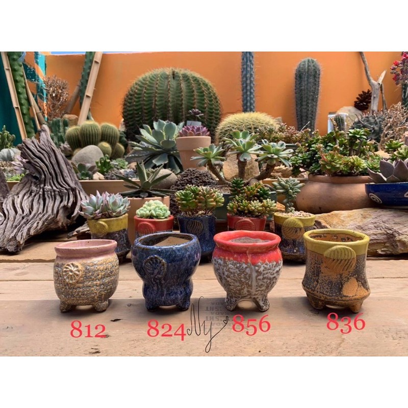 Chậu gốm men cao cấp xuất Hàn