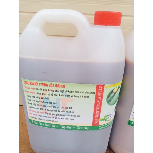 com 5 lít phân chuối trứng sữa hữu cơ