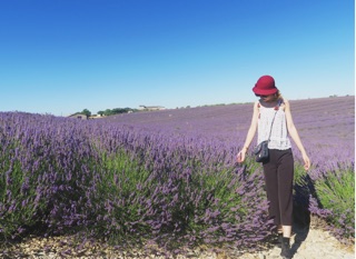 Hoa Oải Hương Lavende - Pháp