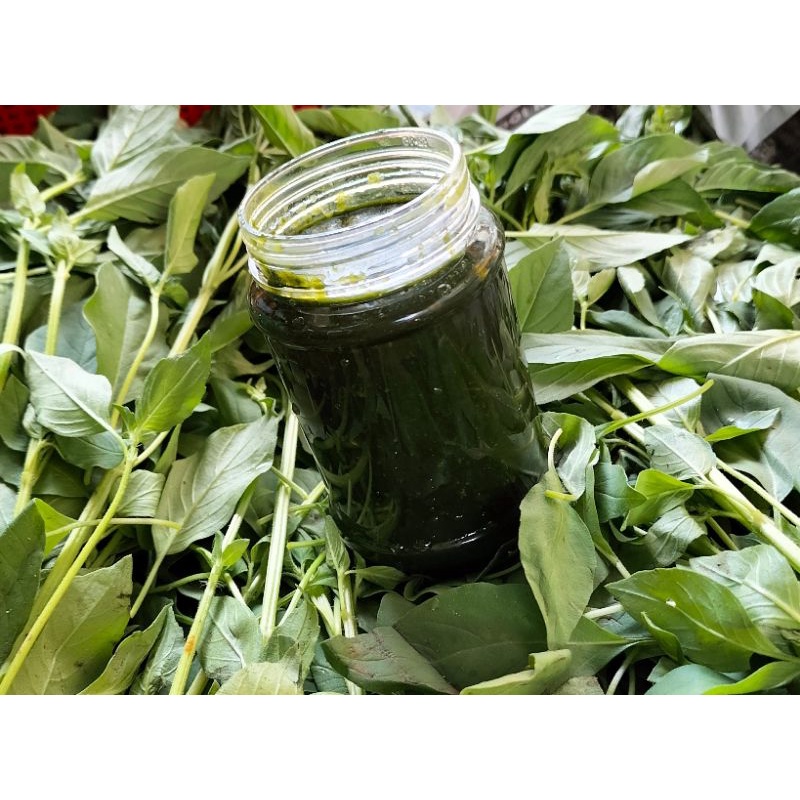 🌿🌿XỐT CHẤM LÁ É TƯƠI - ĐƯỢC LÀM BẰNG LÁ É TƯƠI VÀ GIA VỊ ĐỘC QUYỀN