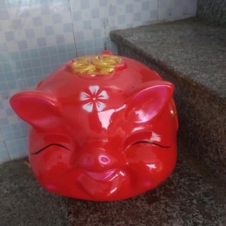 Heo đất Híp xinh