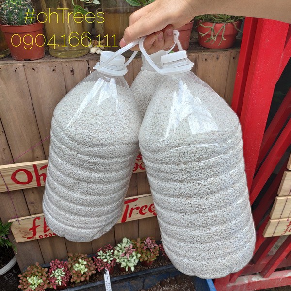 Chai 06 lít đá perlite dùng trộn đất trồng cây, rau, sen đá, xương rồng, chậu ban công, hoa hồng, hoa lan