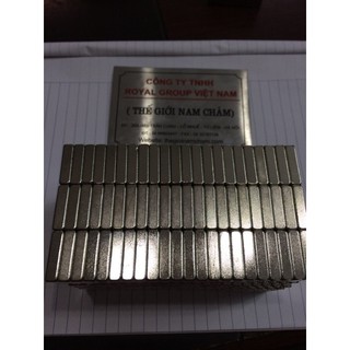 Nam châm viên đất hiếm 20x10x5mm