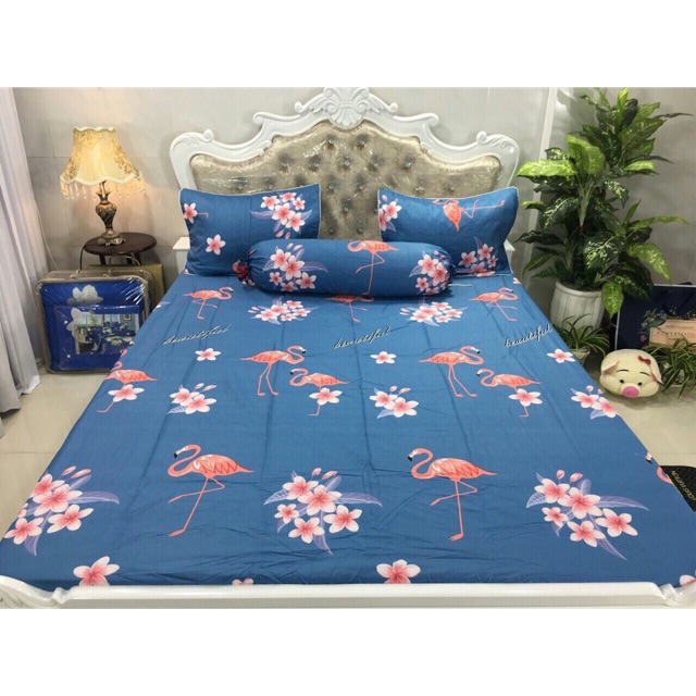 BỘ CHĂN DRAP COTTON HÀN QUỐC
