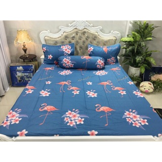 Bộ chăn drap cotton hàn quốc