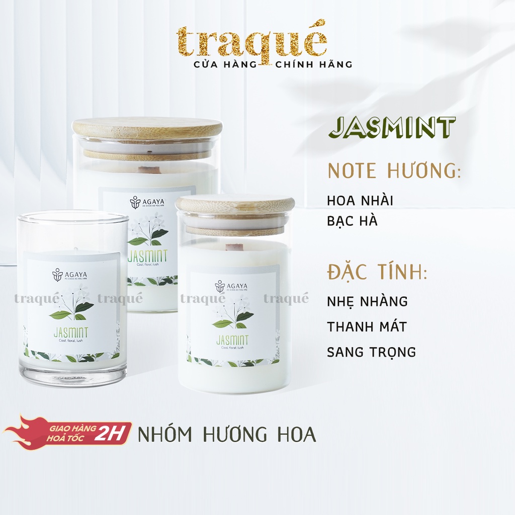 Nến thơm Candle Cup/Agaya - Hương Hoa JASMINT