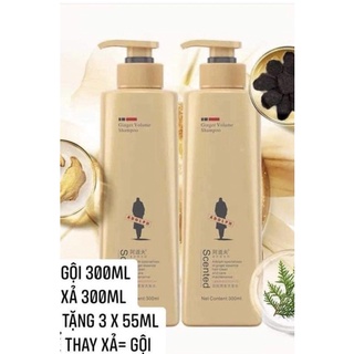 Dầu gội xả gừng