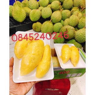 1 Trái Sầu Riêng Ri6 Cơm Vàng Hạt-Lép ( trái từ 2-5kg)