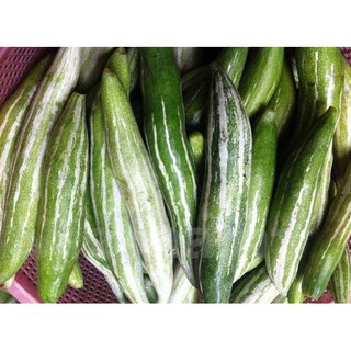 Hạt giống lặc lày - 10 hạt